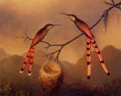 Two Hummingbirds with Their Young - 马丁·约翰逊·赫德